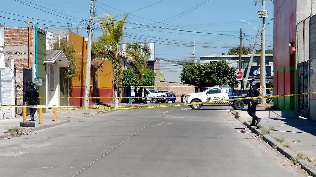 anatque lindavista ok