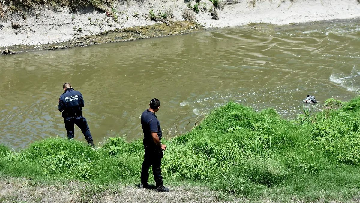 Muertos Rio Laja (3) ok