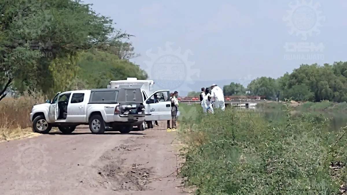 WhatsApp Image 2021-05-11 at 1.39.28 PM