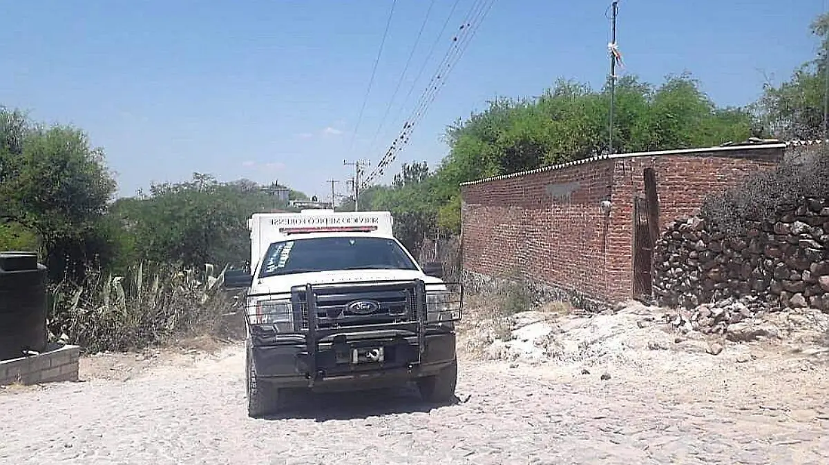 tarimoro