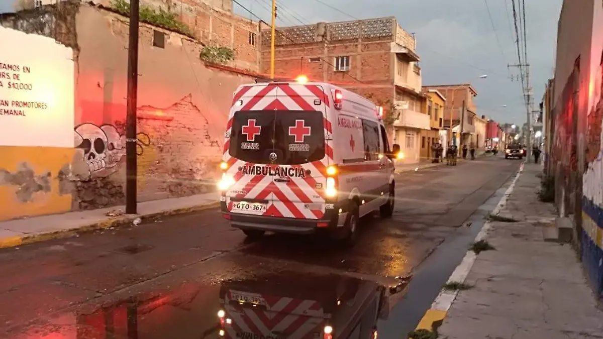 WhatsApp Image 2019-06-23 at 9.14.11 PM (1)