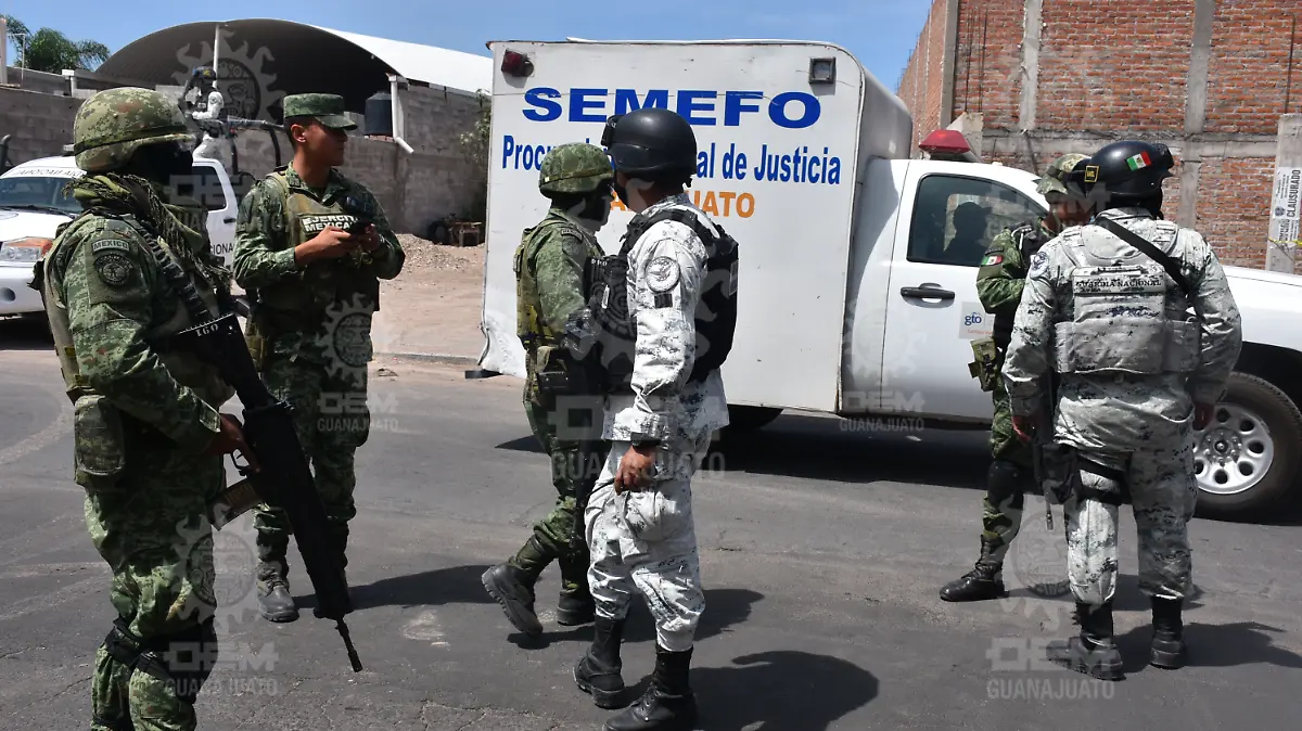 Imagen2