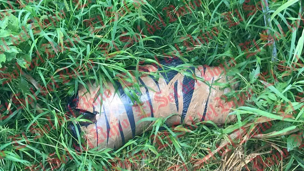 WhatsApp Image 2020-09-01 at 10.05.58 AM