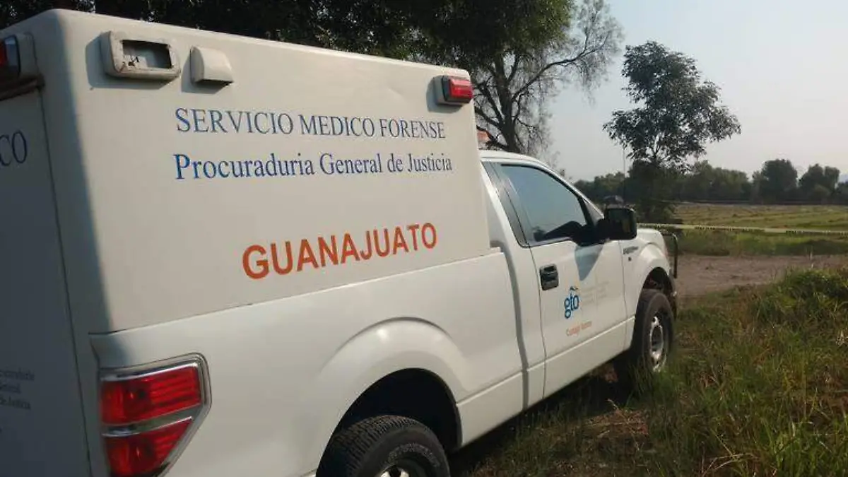 5fce6558-bd76-49ff-b907-4db38825008a