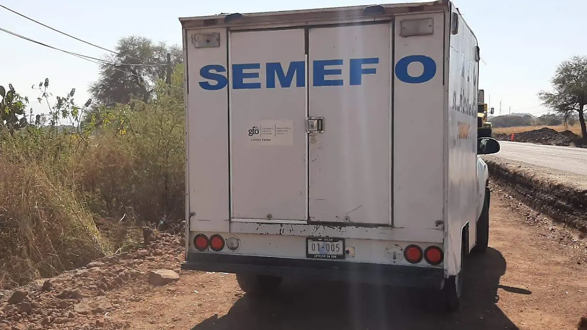 semefo