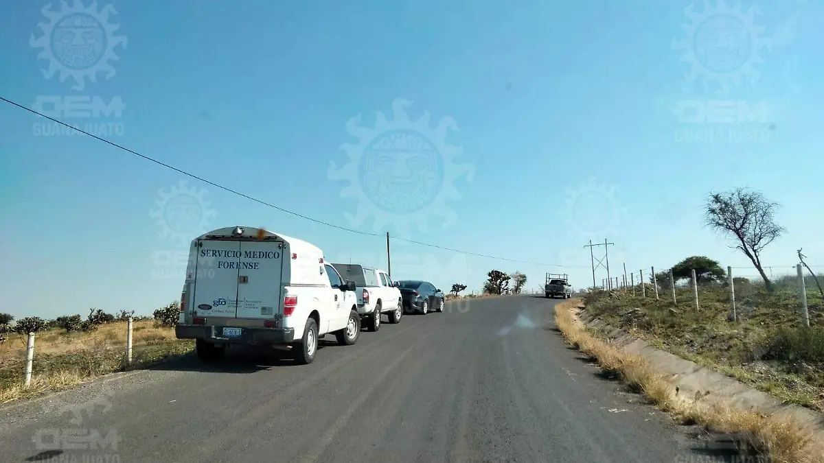 WhatsApp Image 2022-04-30 at 10.45.29 AM