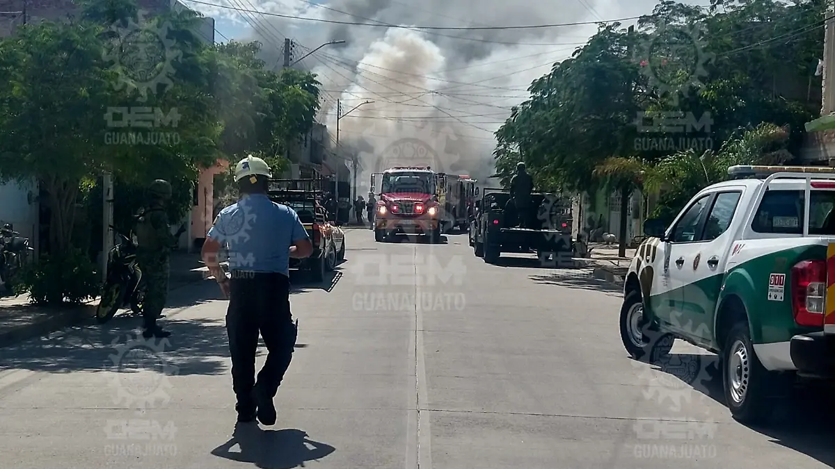 Imagen1