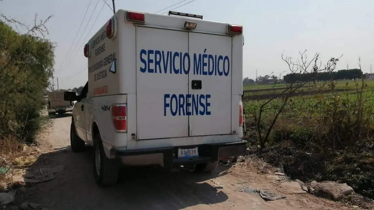 localiozado