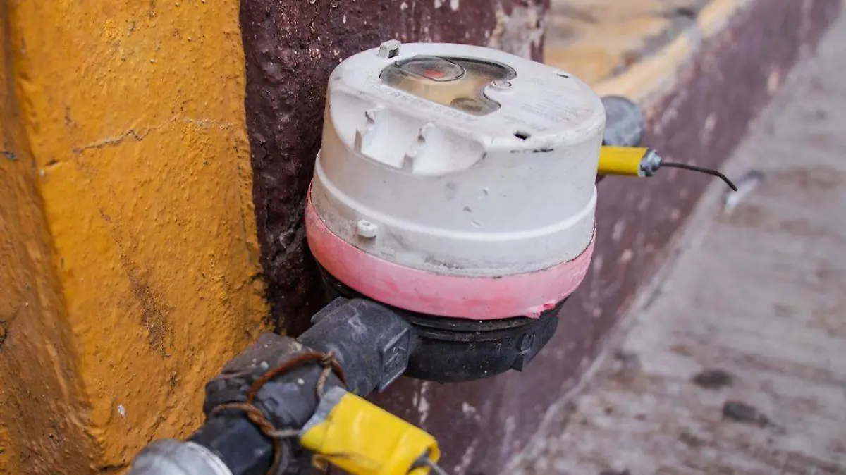 WhatsApp Image 2021-07-22 at 10.31.24 AM