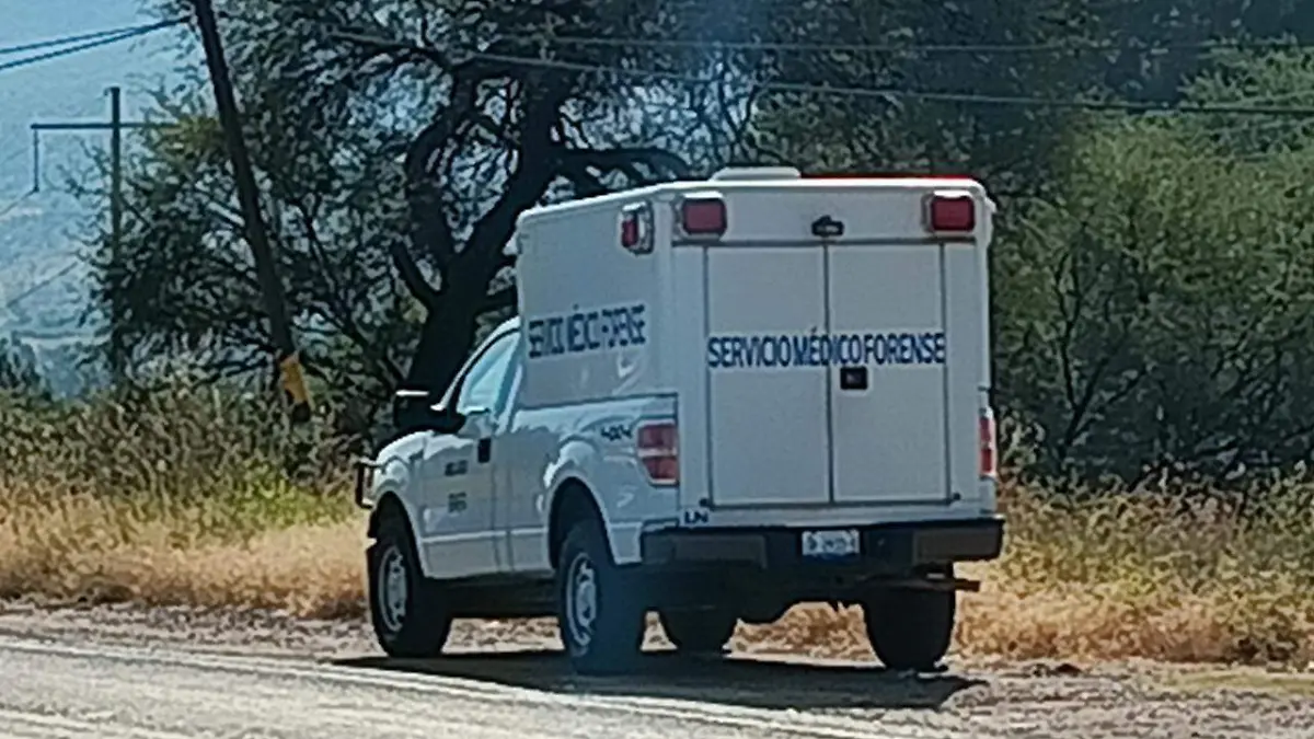 WhatsApp Image 2022-03-29 at 7.09.21 AM