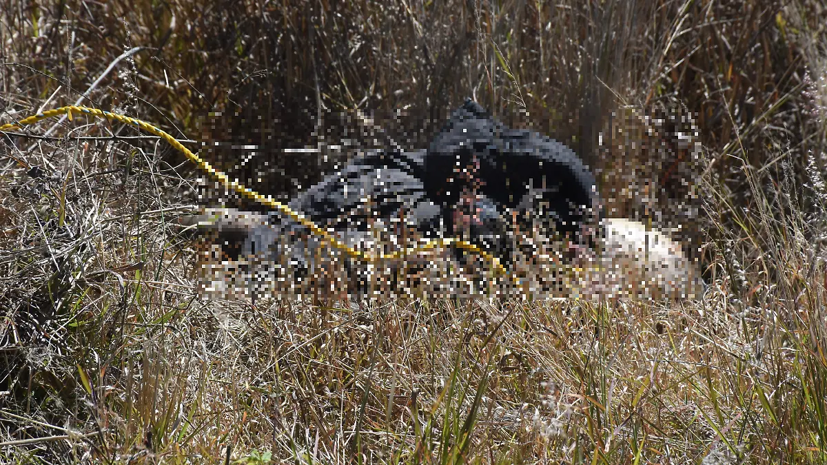 muerto juventino rosas (3) ok