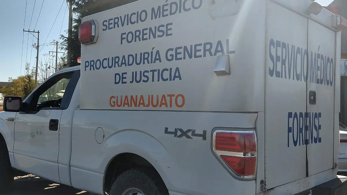 IMG_20210203_095050213_HDR