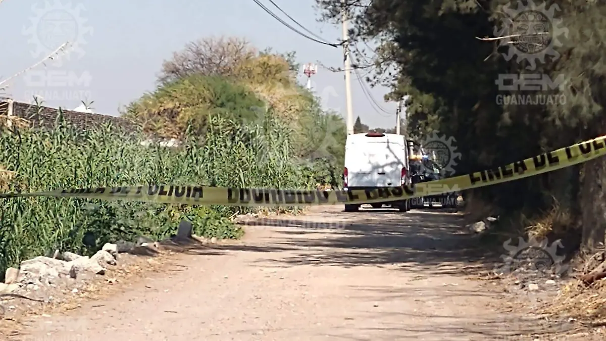 WhatsApp Image 2021-05-20 at 11.35.24 AM