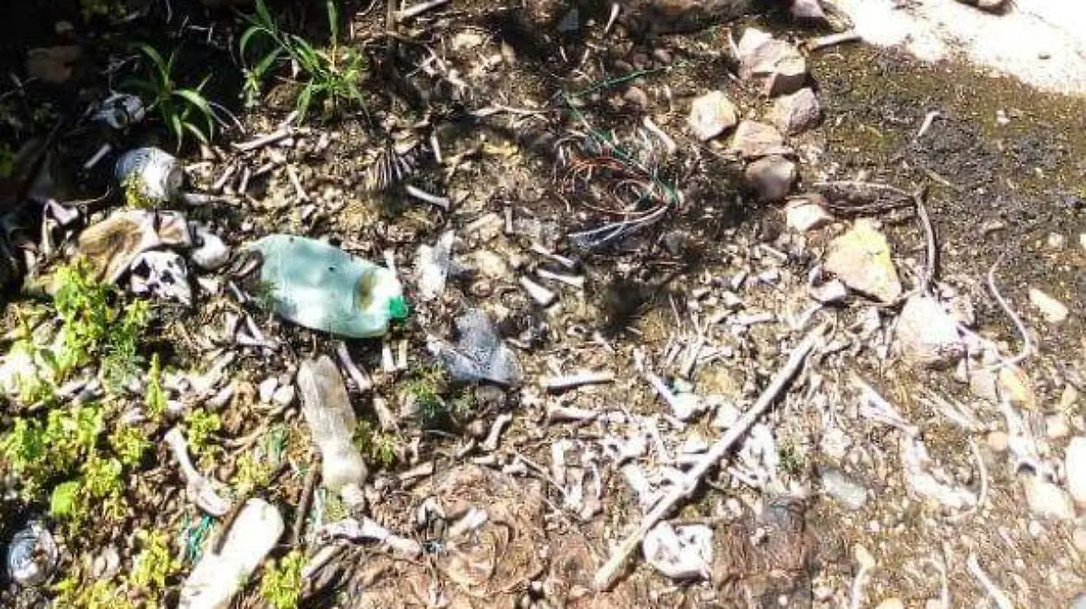 WhatsApp Image 2020-09-23 at 1.19.20 PM