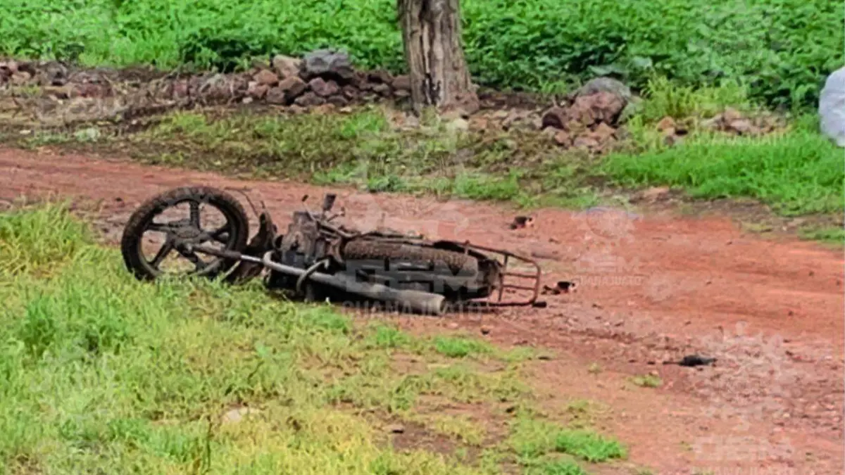 WhatsApp Image 2021-07-12 at 3.31.31 PM