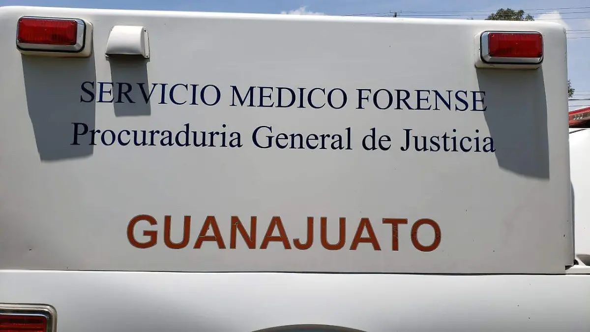 WhatsApp Image 2021-08-23 at 1.33.44 PM