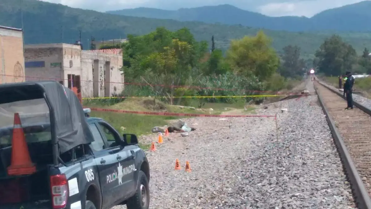 WhatsApp Image 2019-08-11 at 5.06.56 PM