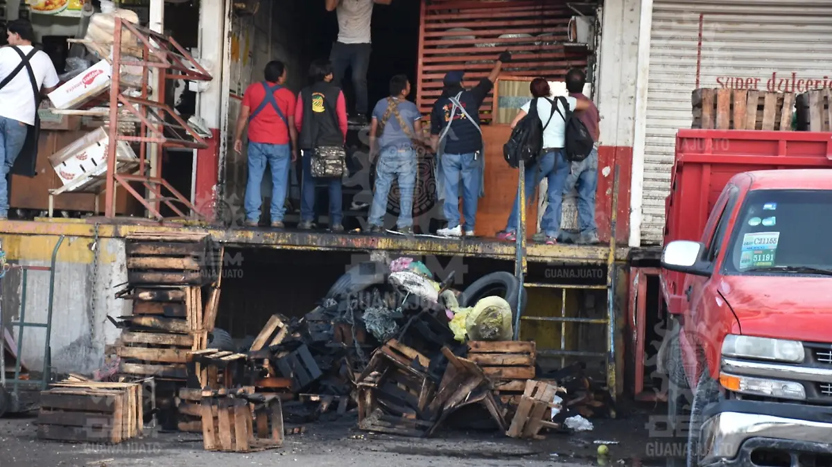 Imagen1