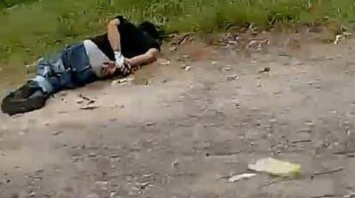 maniatado vivo (1) ok