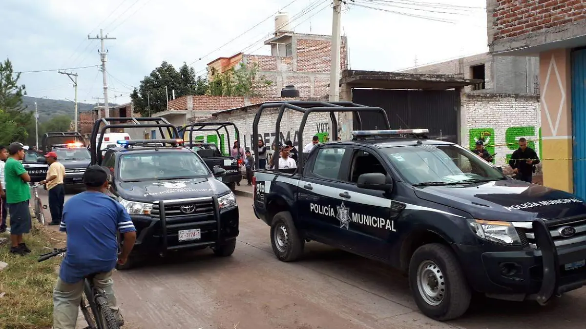 WhatsApp Image 2018-12-13 at 9.14.16 PM