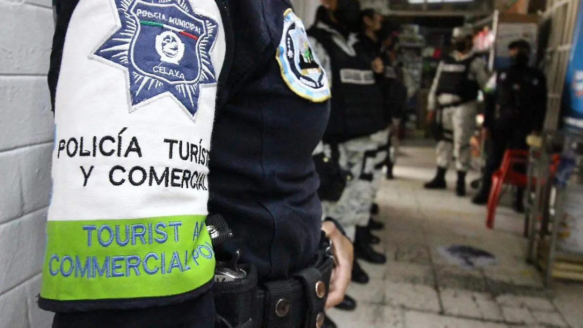 policia-turistica-detencion