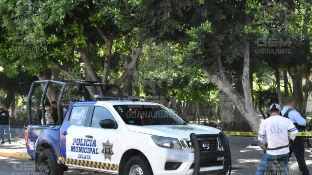 WhatsApp Image 2021-11-10 at 11.01.53 AM