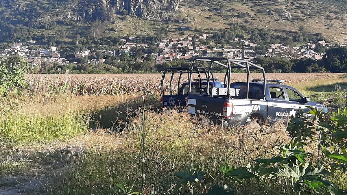 62b3506a-3478-486d-a872-c310e956b0ac