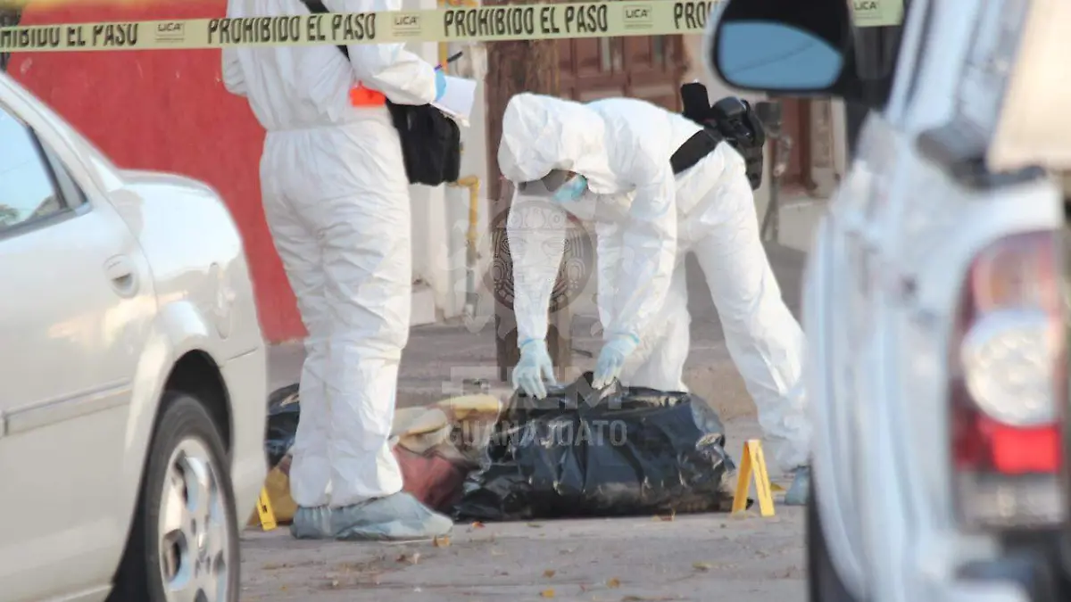 WhatsApp Image 2020-11-28 at 8.50.31 AM