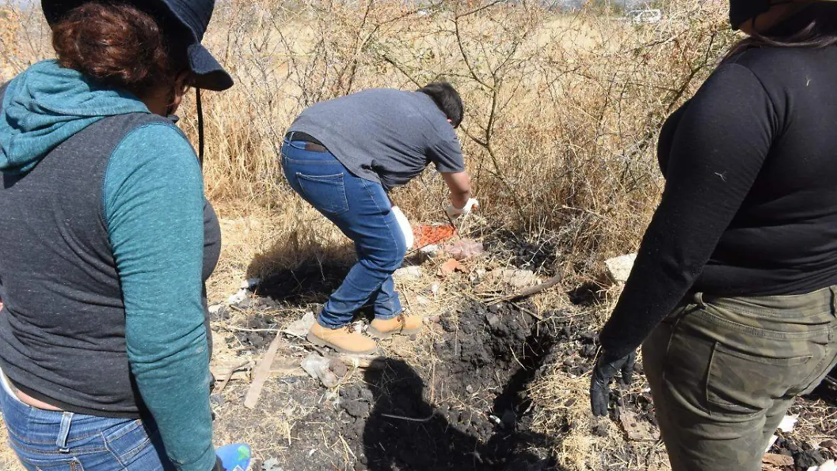 WhatsApp Image 2021-02-23 at 11.27.28 AM