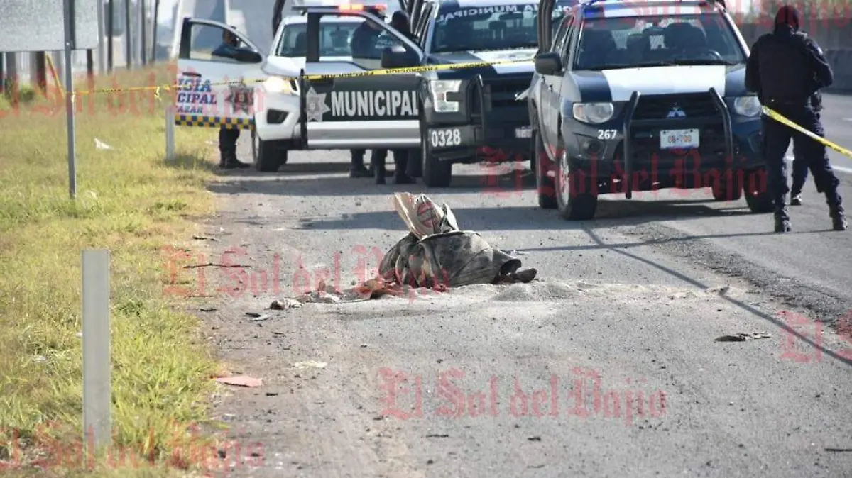 panamericana