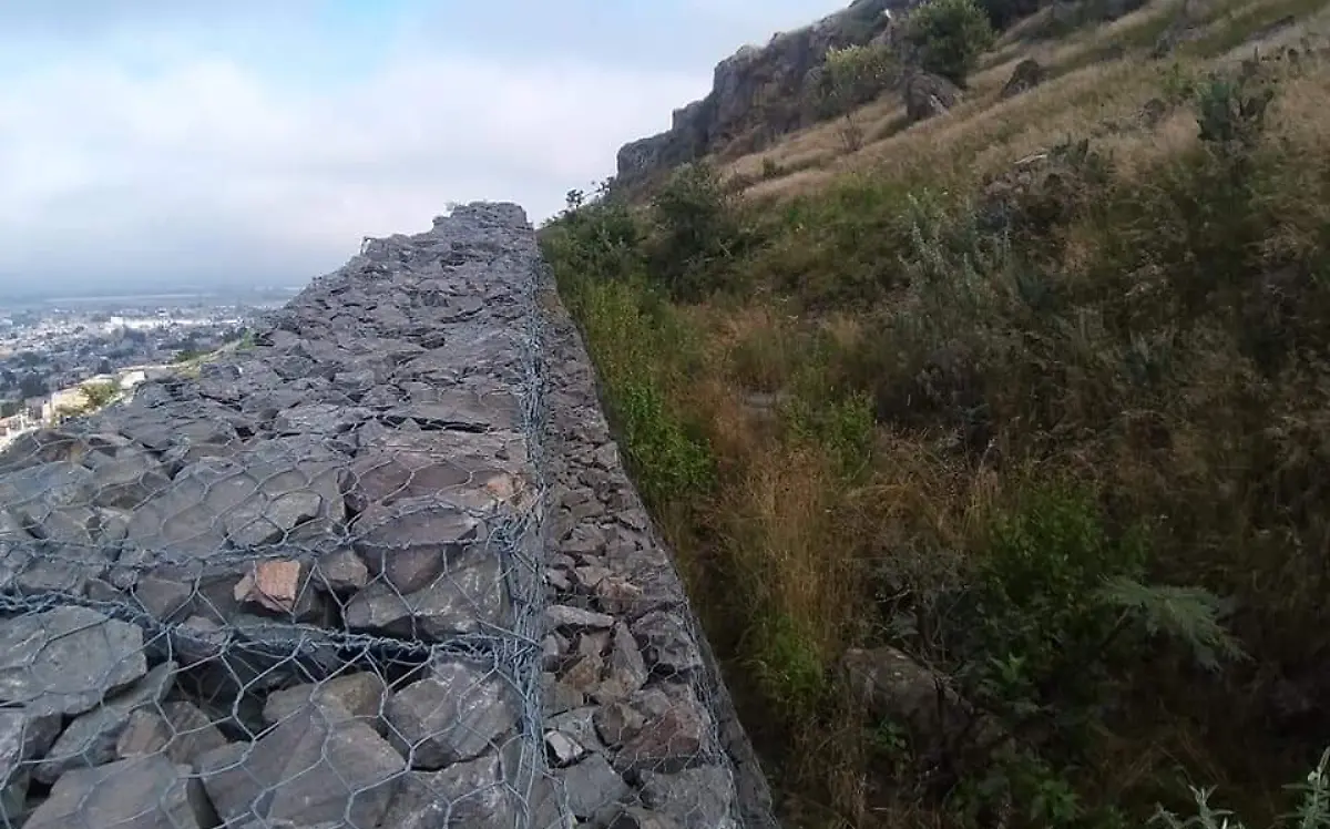 WhatsApp Image 2021-09-29 at 10.40.08 AM (1)