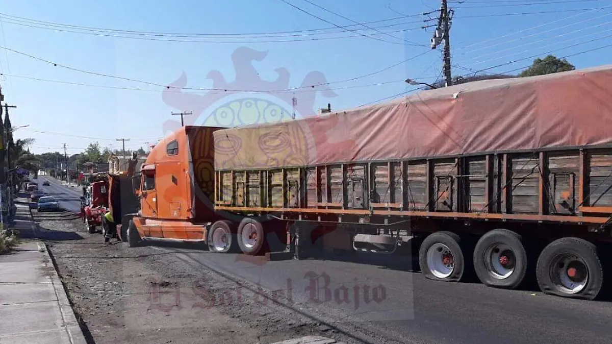 WhatsApp Image 2019-03-04 at 2.26.05 PM