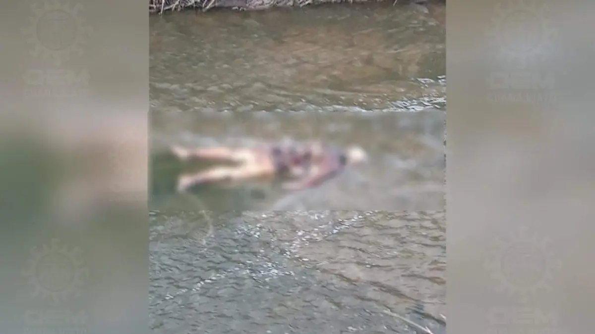 WhatsApp Image 2021-05-28 at 9.30.52 AM