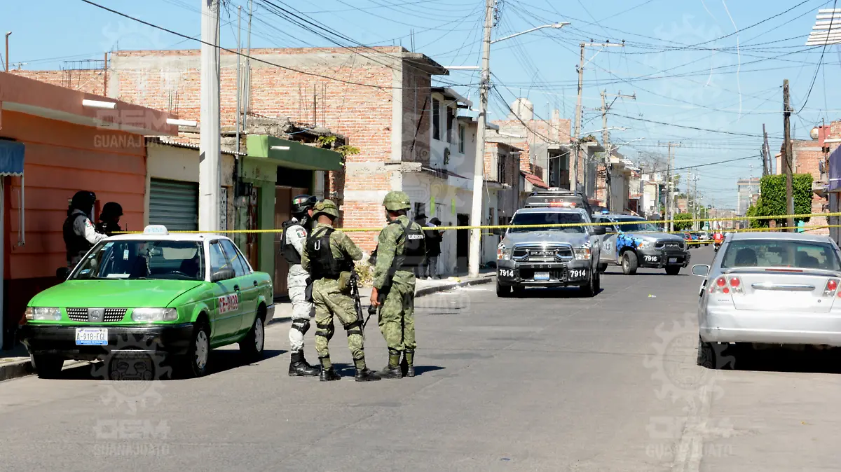 Imagen1