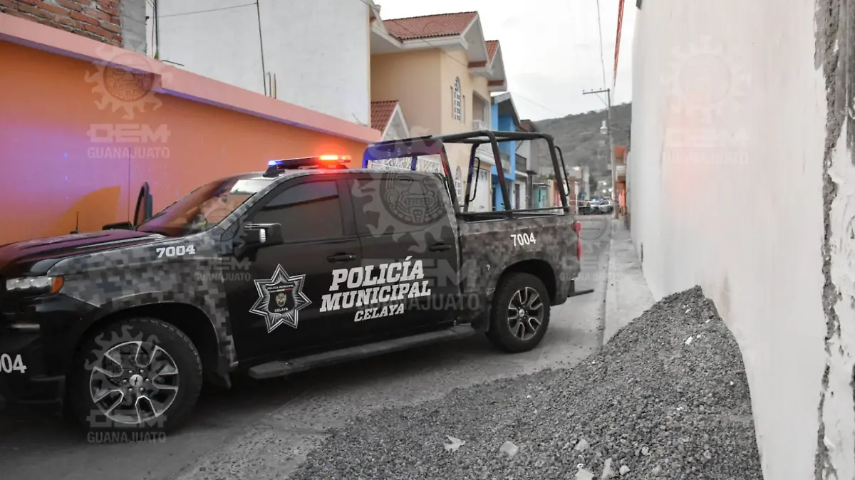 Imagen1