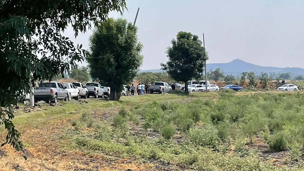 corta muerto