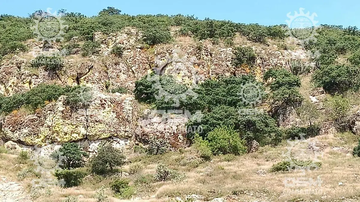 WhatsApp Image 2021-09-30 at 1.08.29 PM