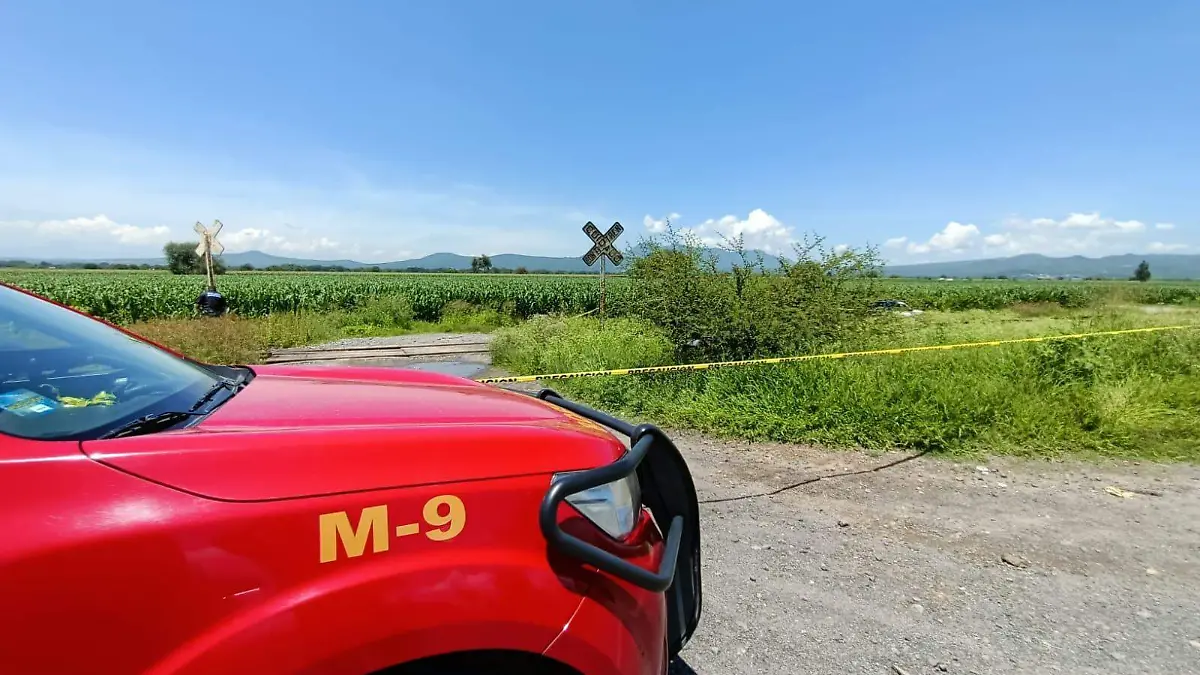 WhatsApp Image 2021-07-26 at 12.48.35 PM