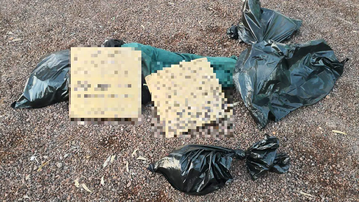 las bolsas fueorn localizadas afuera d eunas bodegas 1 ok