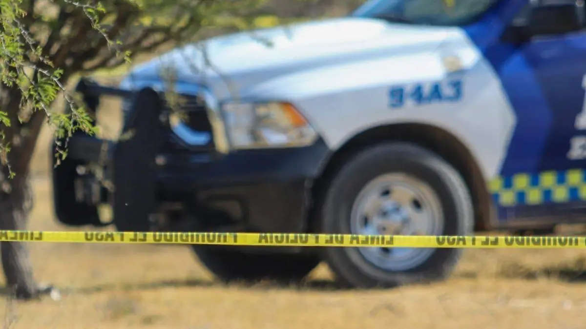 WhatsApp Image 2022-01-03 at 7.58.47 PM