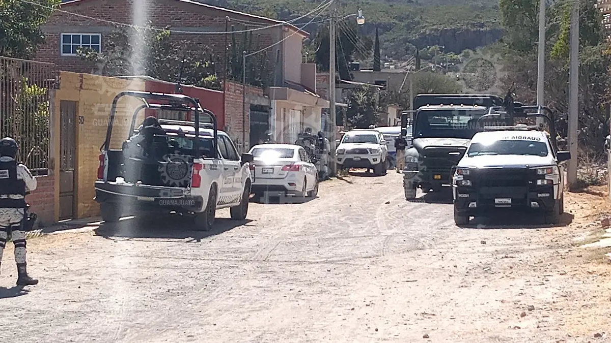 Imagen26
