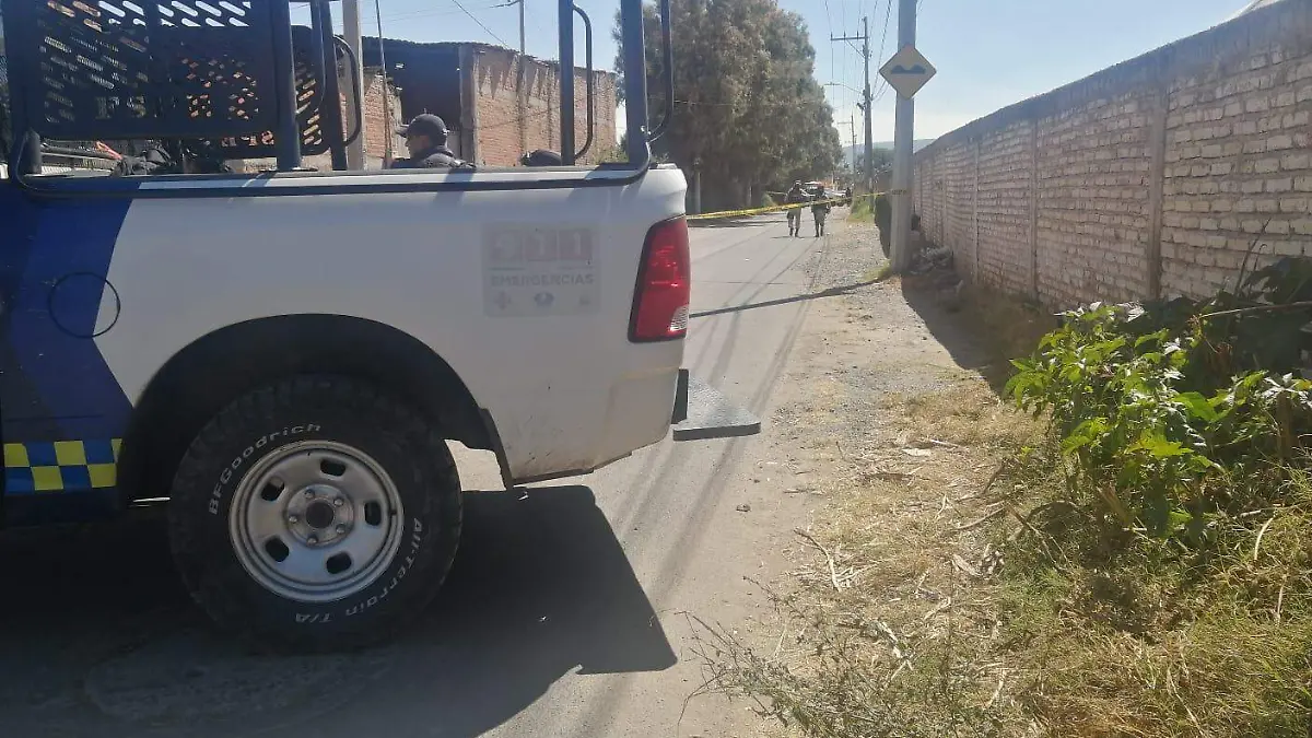 WhatsApp Image 2021-11-06 at 1.19.26 PM