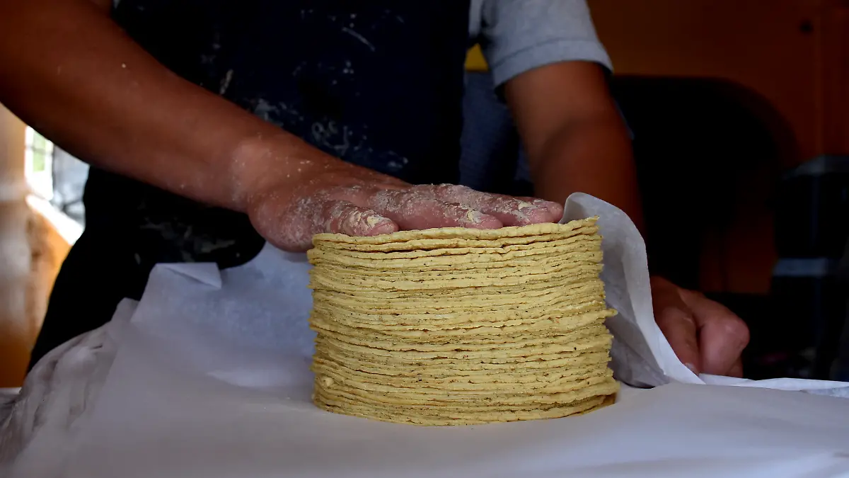 tortilla (3) ok