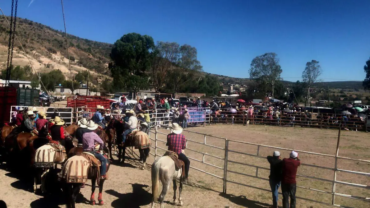 jaripeo (1) ok