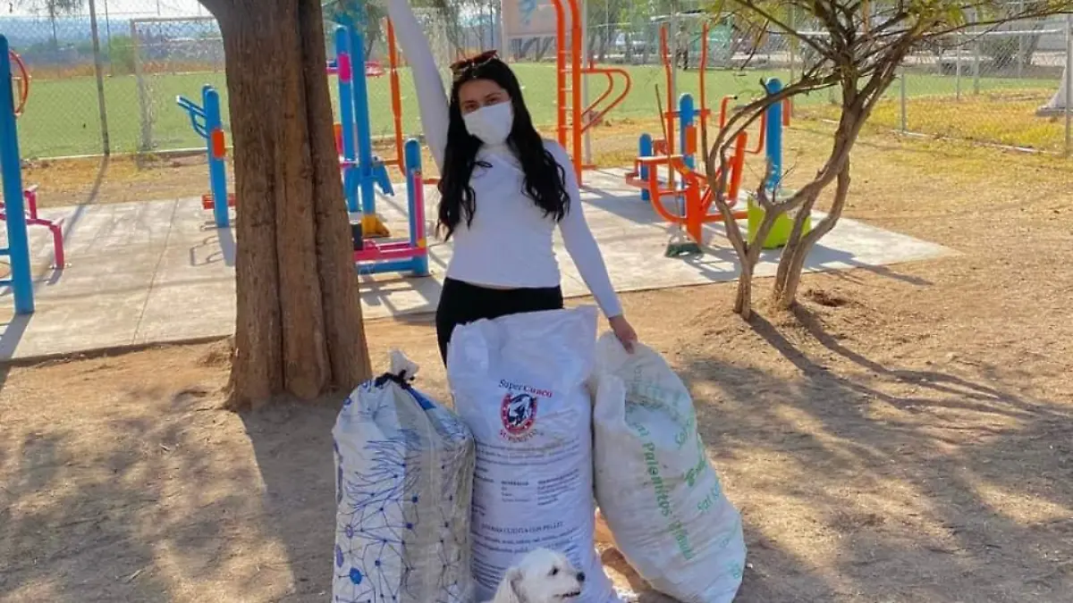 voluntariado-juventino-rosas