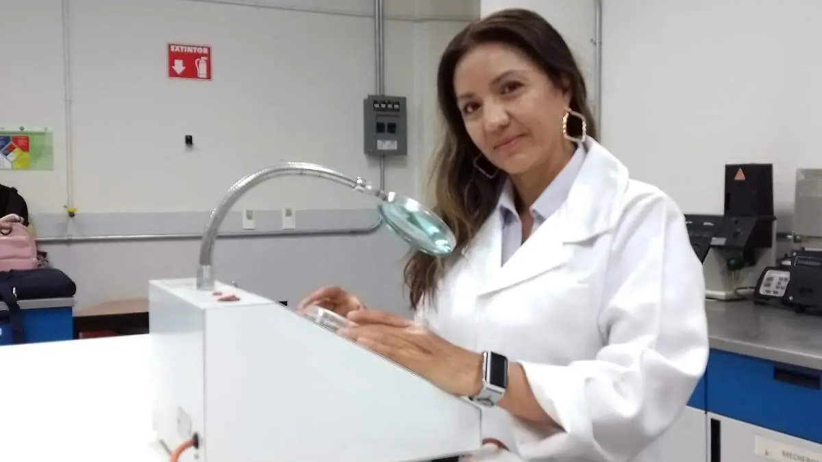 investigadora (2) ok