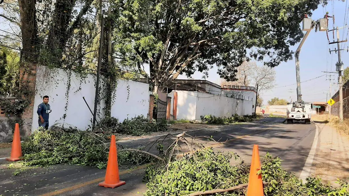 WhatsApp Image 2021-03-03 at 11.23.07 AM (1)