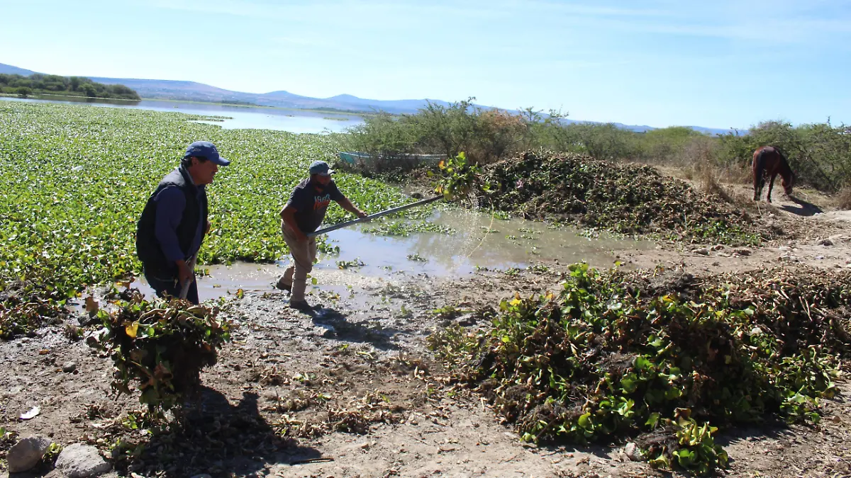 Los-hermanos-Beltrán