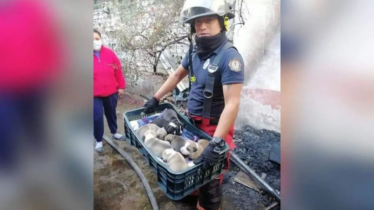 WhatsApp Image 2021-01-03 at 1.26.26 PM