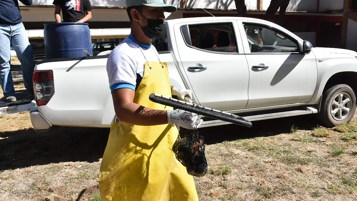 Alumnos-colocaron-hielo